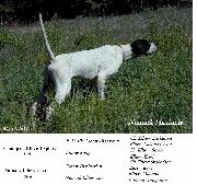 NUMARK MAXIMUS